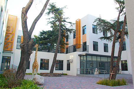 1612165486167062489.jpg 1612165486167062489.jpg