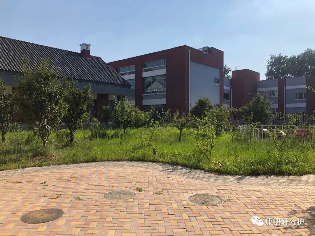 1612235960413020523.jpg 1612235960413020523.jpg