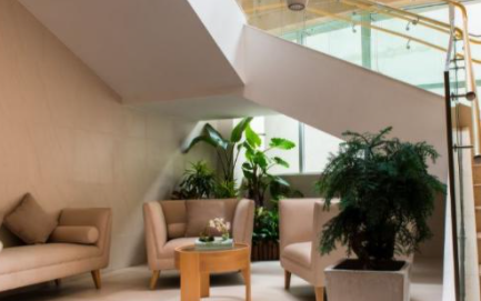 1612320266846049992.png image.png