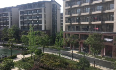 1612339724159029363.png image.png