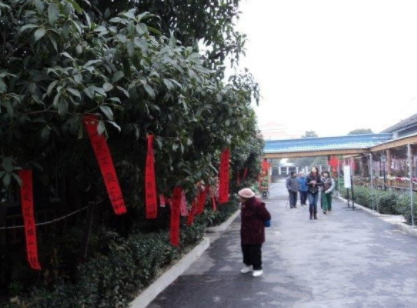 1612506940445093573.png image.png