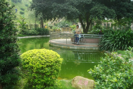 1613721815158071484.png image.png