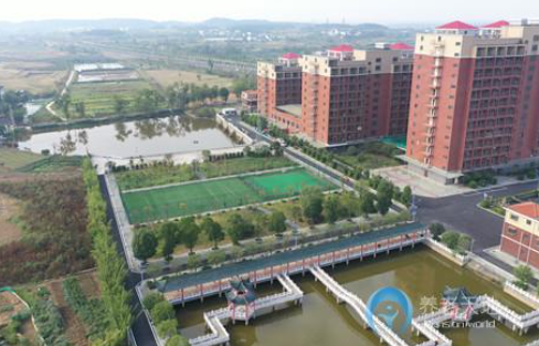 1614061423396095828.png image.png