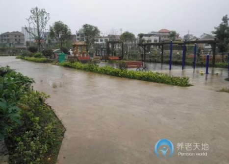 1614241054379091077.png image.png