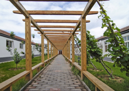 1614244085932031756.png image.png