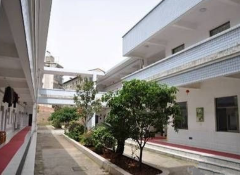 1614321446085034994.png image.png