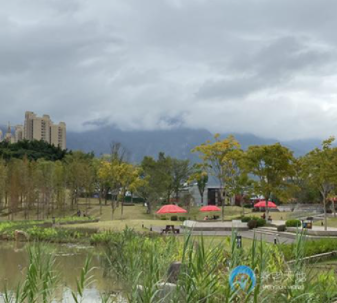 1614652481274028491.png image.png