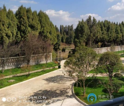 1614666404937024992.png image.png