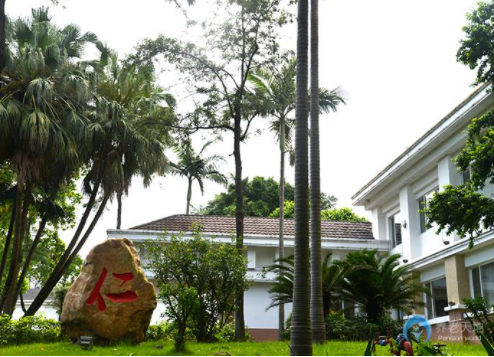 1614850137242073383.png image.png