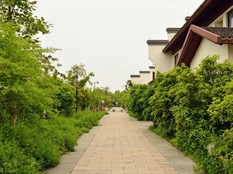 1614923213975020887.png image.png