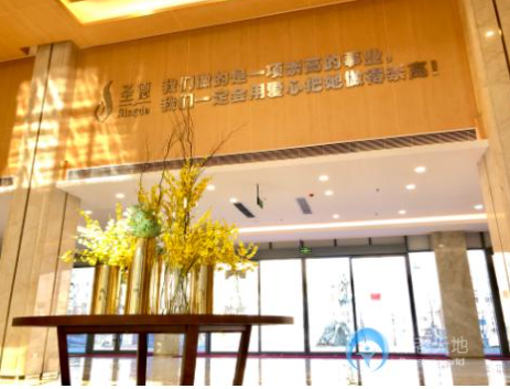 1614926012019000943.png image.png