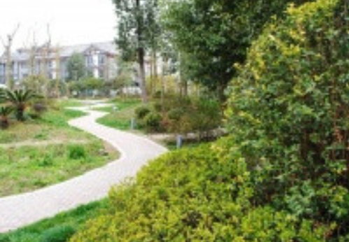 1615273221565085640.png image.png