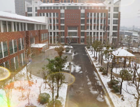 1615447470275013407.png image.png