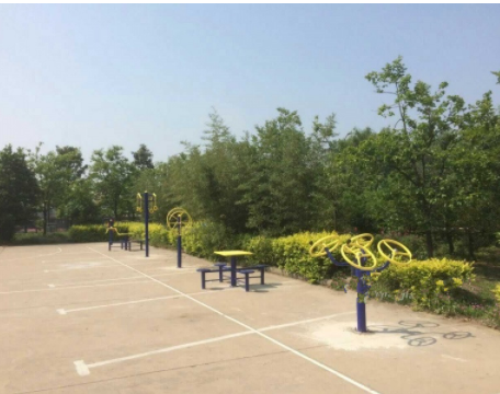 1615779965722016677.png image.png