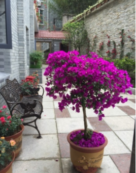 1615796703090050367.png image.png