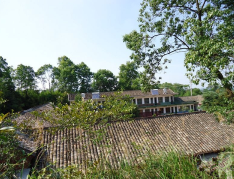 1615962975271020124.png image.png