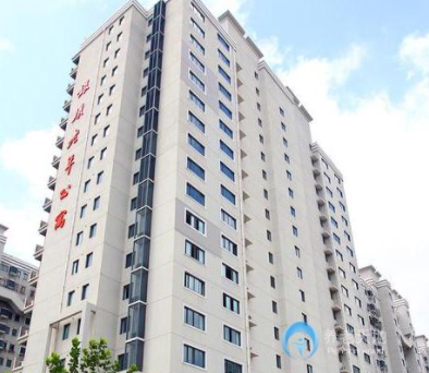 1616379982555019653.png image.png