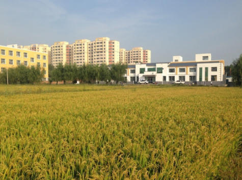 1616463259812039373.png image.png