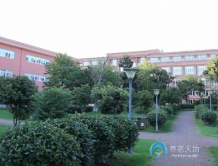 1616737169885039093.png image.png