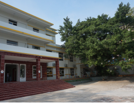 1616742050752050286.png image.png