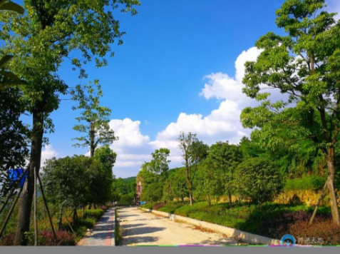 1617003455989044810.png image.png