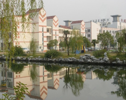 1617073583906026882.png image.png