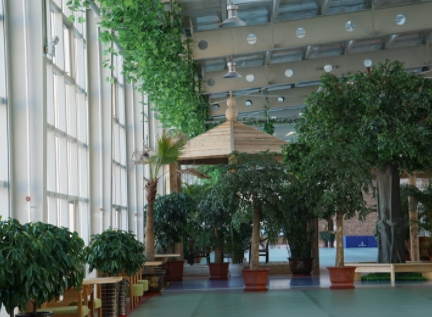 1617688348690070461.png image.png