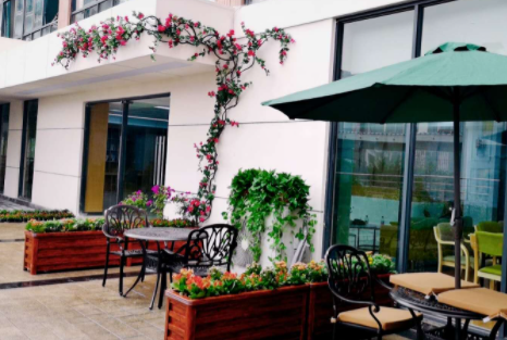 1617763585686097220.png image.png