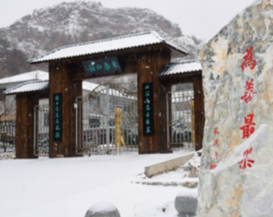 1617940192934075300.png image.png