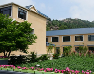 1617940210476057945.png image.png