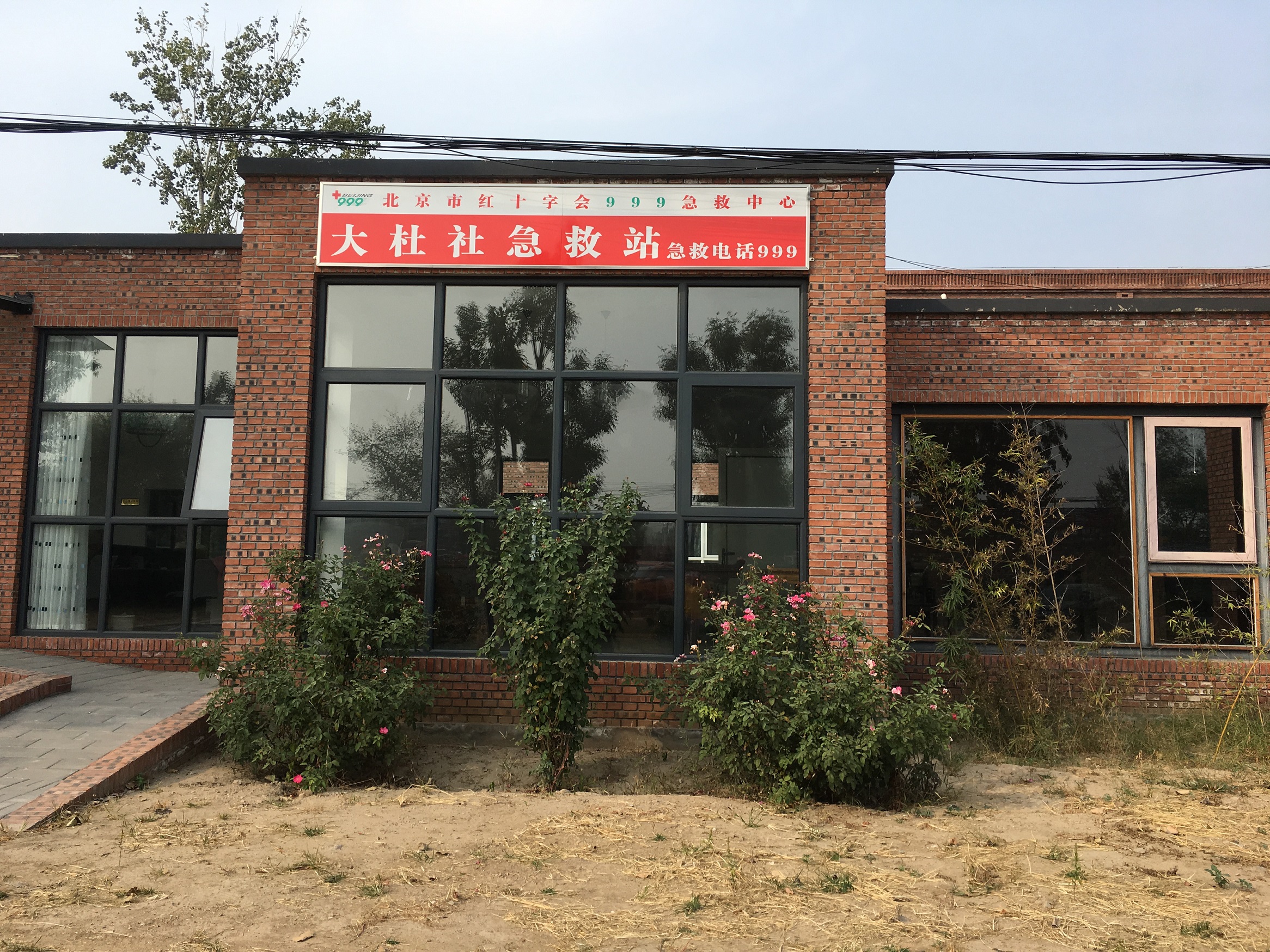 1617950474243088253.jpg 1617950474243088253.jpg