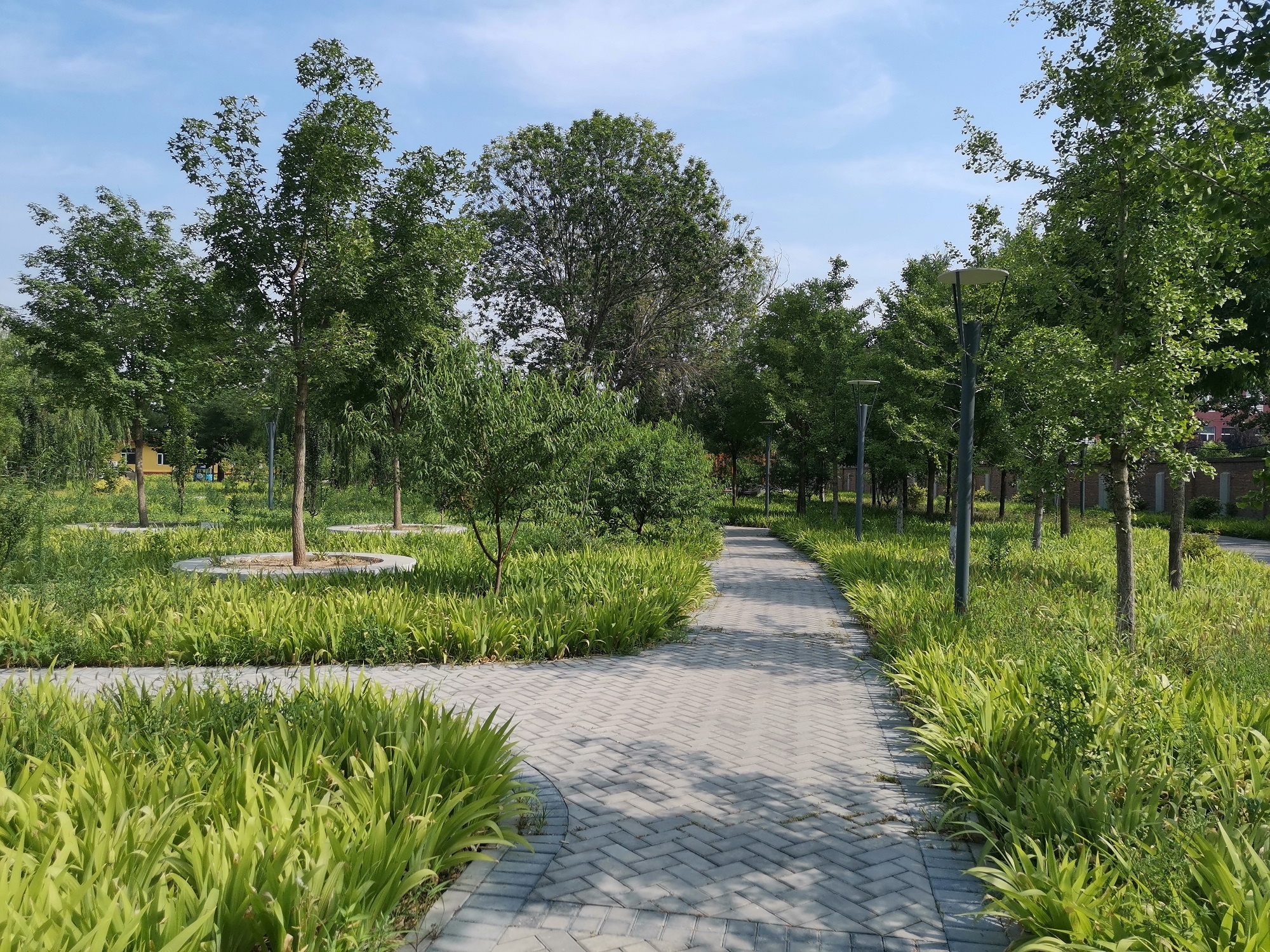 1617950525695097930.jpg 1617950525695097930.jpg