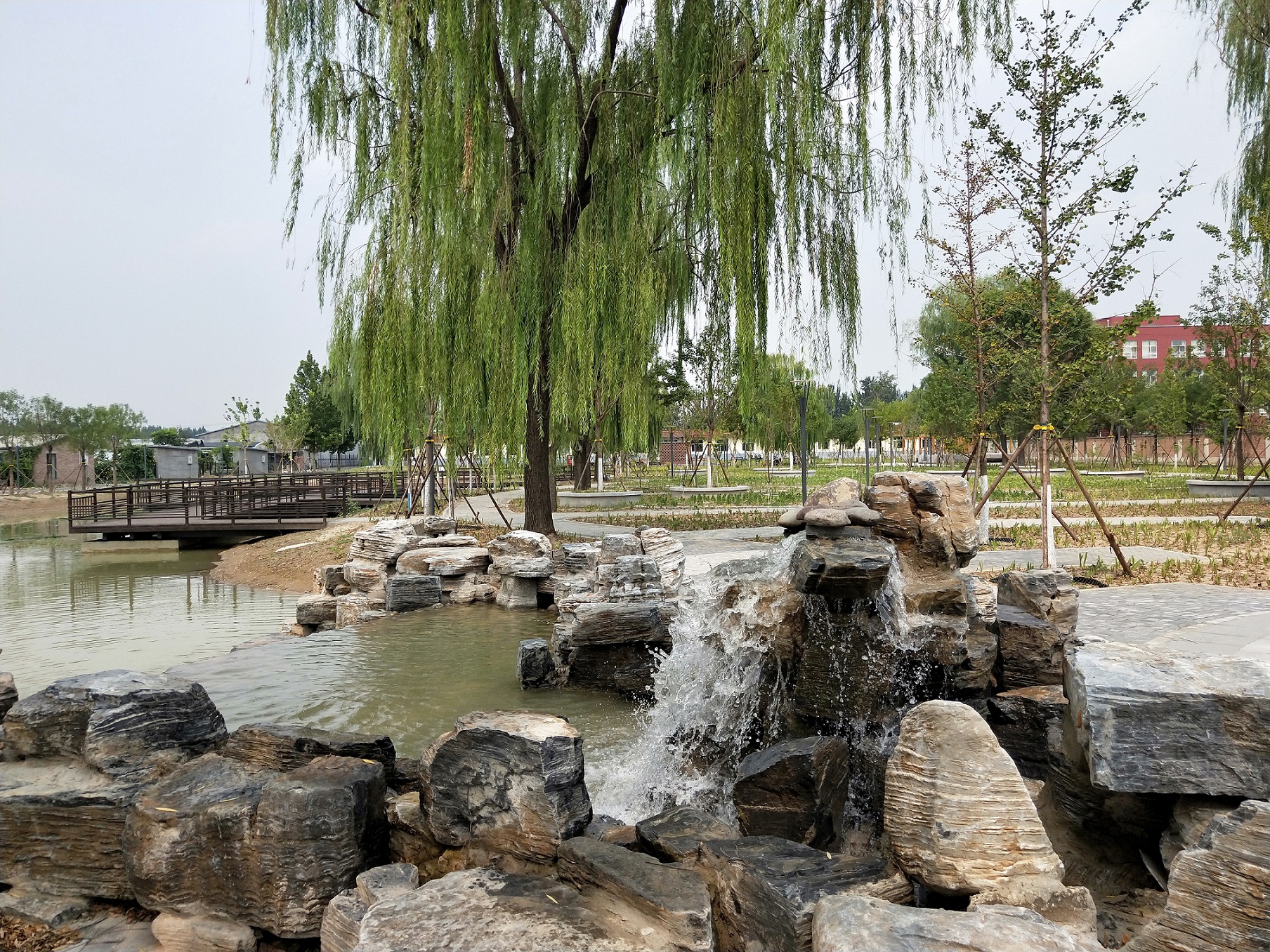 1617950582017015239.jpg 1617950582017015239.jpg