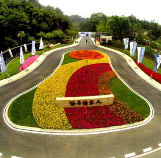 1617957200180020518.png image.png