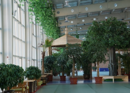 1618282700108049726.png image.png