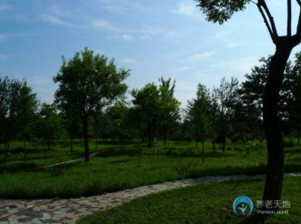 1618284232270064279.png image.png