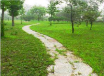 1618284294604027719.png image.png