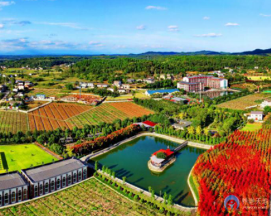 1618545138383025760.png image.png