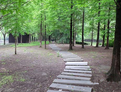 1618885455321075204.png image.png