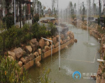 1619059502692058343.png image.png