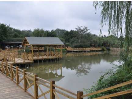 1619063037097029305.png image.png