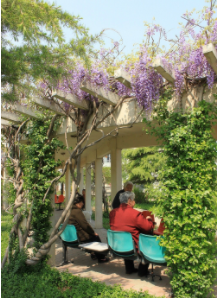 1619070287346068984.png image.png