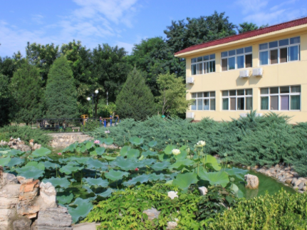 1619070314915039116.png image.png