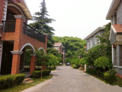 1619162880917010233.png image.png