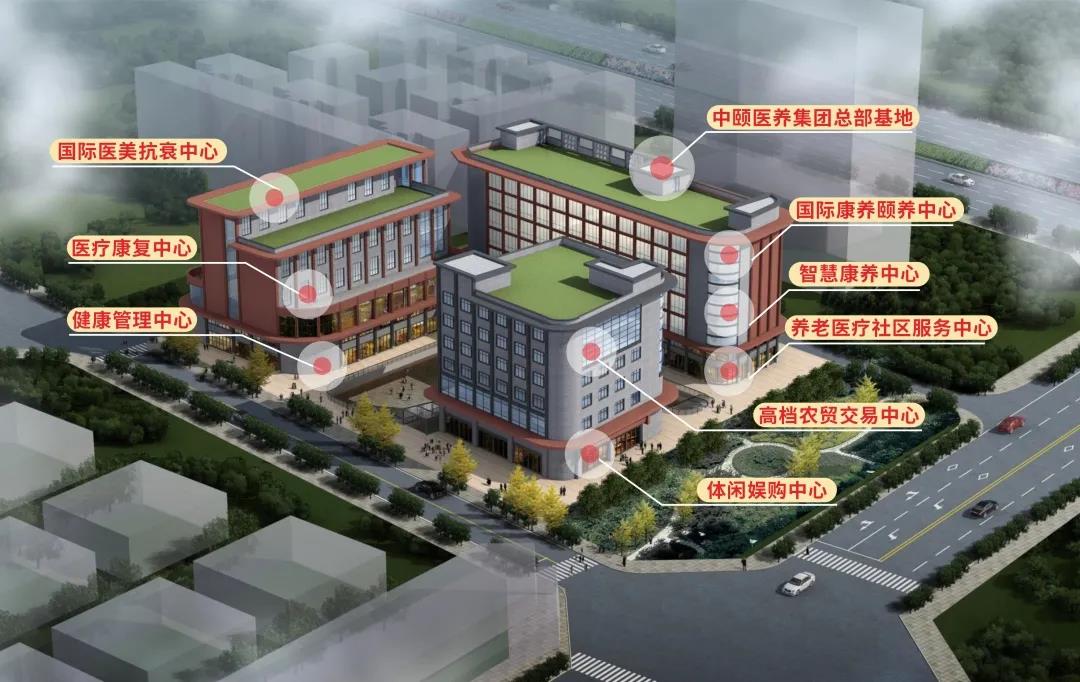 1619402548442074038.jpg 1619402548442074038.jpg