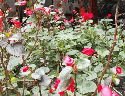 1619420340316044103.png image.png