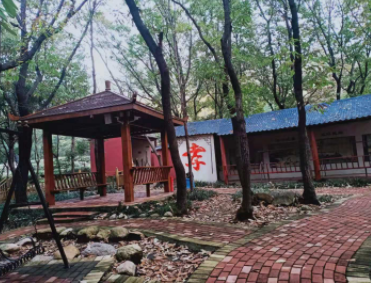 1619509831477051950.png image.png