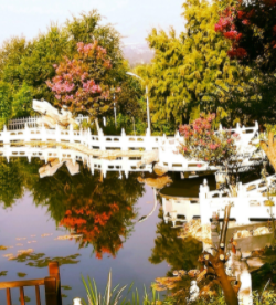 1619509849921098086.png image.png