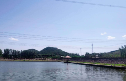 1619576180830025814.png image.png