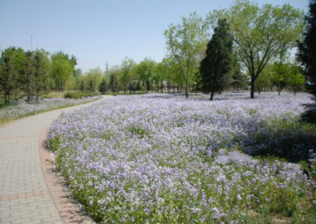 1619746634321067923.png image.png